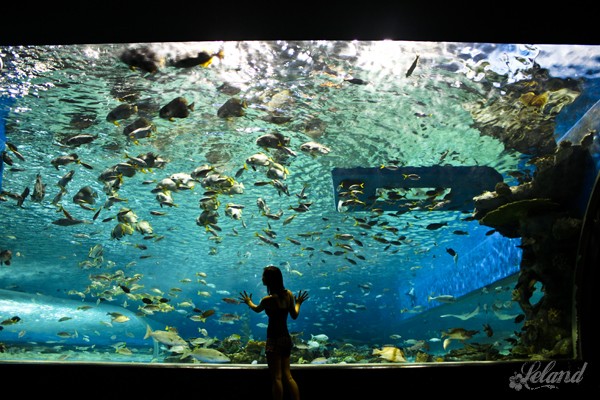 Photography Challenge: Master Cool Tones for Moody, Impactful Shots