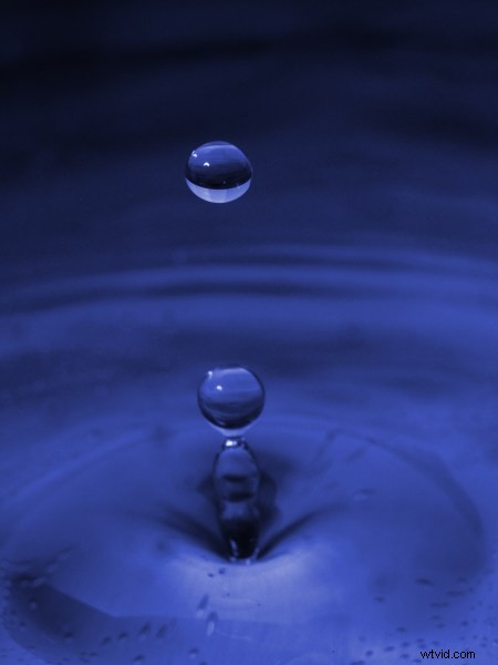 Photography Challenge: Master Cool Tones for Moody, Impactful Shots