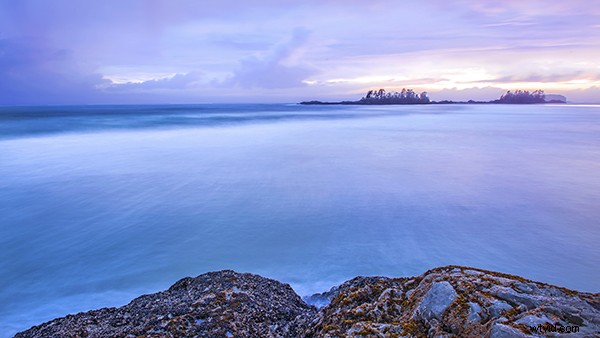 Nikon 24-70mm f/2.8 Lens Review: Hands-On Insights from a Pro Photographer