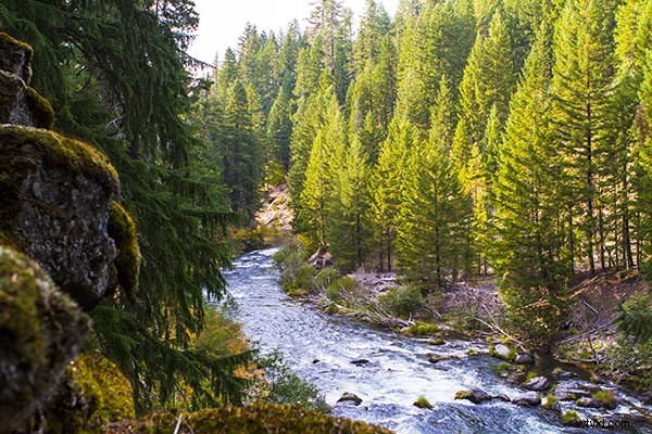 Is Every Photographer an Artist? Unpacking the Debate on Photography and Art