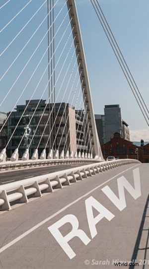 RAW Post-Processing Mastery: Adobe Camera Raw vs. Top Free Software Alternatives