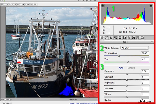 RAW Post-Processing Mastery: Adobe Camera Raw vs. Top Free Software Alternatives