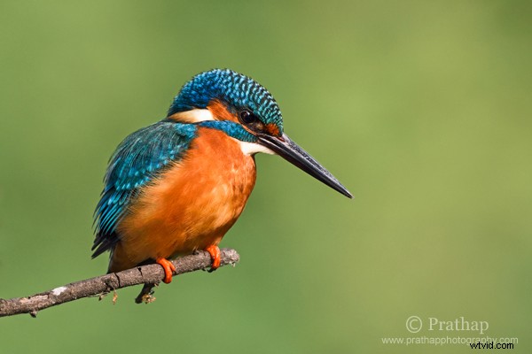 10 Common Photography Mistakes Beginners Make & How to Fix Them