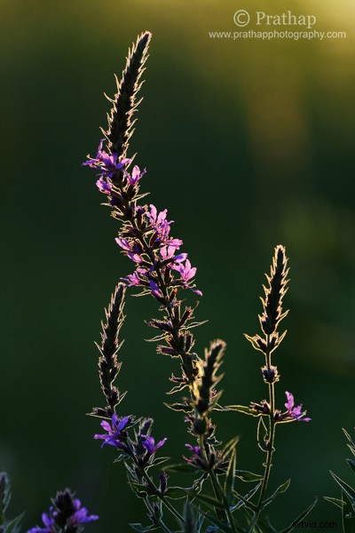 10 Common Photography Mistakes Beginners Make & How to Fix Them