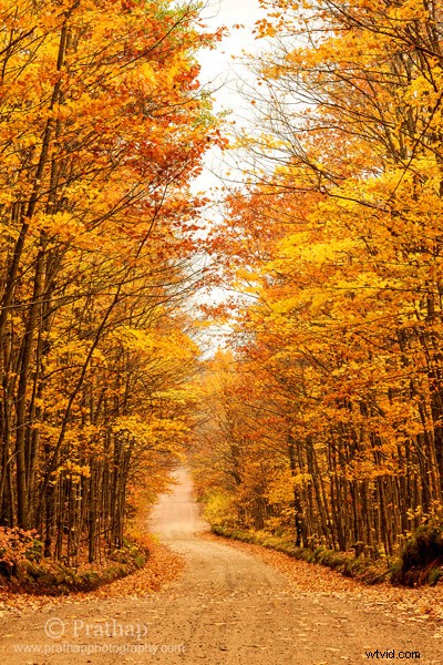 10 Common Photography Mistakes Beginners Make & How to Fix Them