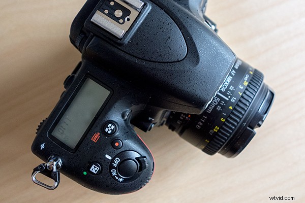 Nikon D750 First Impressions: Honest Review After Two Months