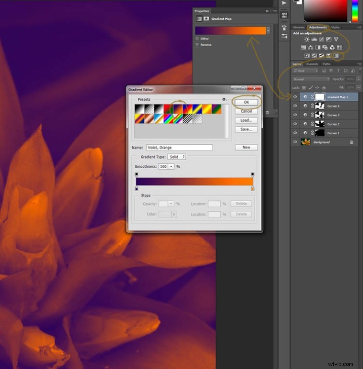 Elevate Macro Photography to Fine Art: Pro Post-Processing Techniques