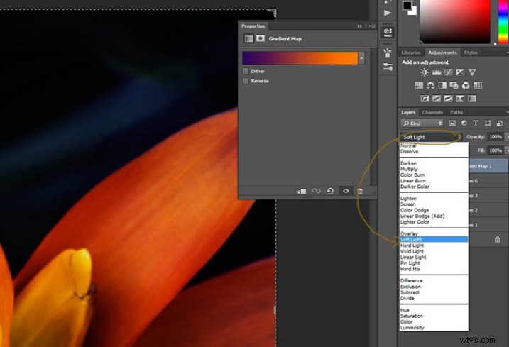 Elevate Macro Photography to Fine Art: Pro Post-Processing Techniques