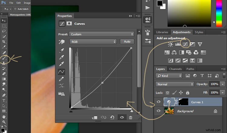 Elevate Macro Photography to Fine Art: Pro Post-Processing Techniques