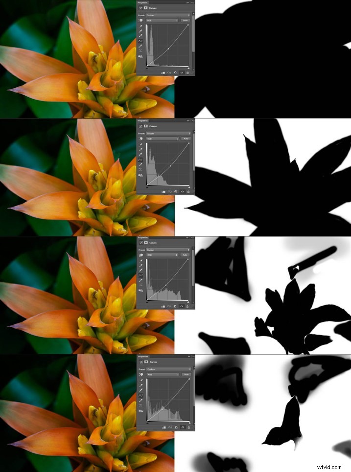 Elevate Macro Photography to Fine Art: Pro Post-Processing Techniques