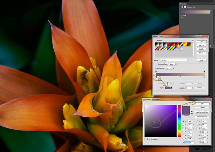 Elevate Macro Photography to Fine Art: Pro Post-Processing Techniques