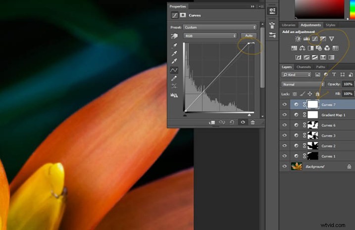 Elevate Macro Photography to Fine Art: Pro Post-Processing Techniques