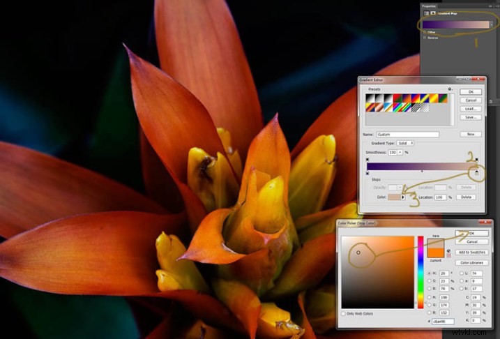 Elevate Macro Photography to Fine Art: Pro Post-Processing Techniques