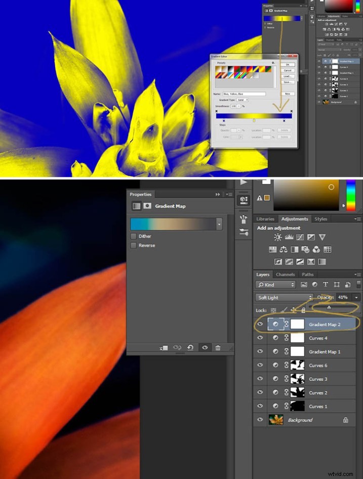 Elevate Macro Photography to Fine Art: Pro Post-Processing Techniques