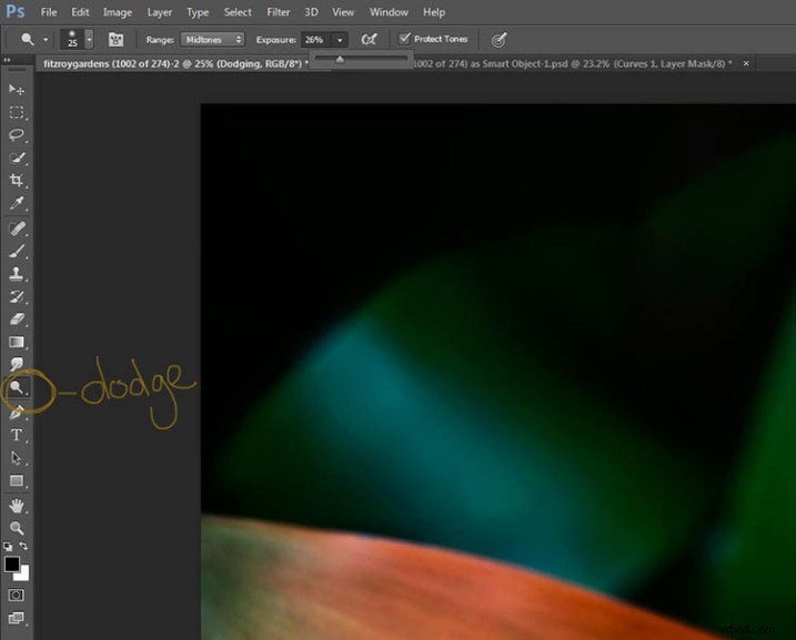 Elevate Macro Photography to Fine Art: Pro Post-Processing Techniques