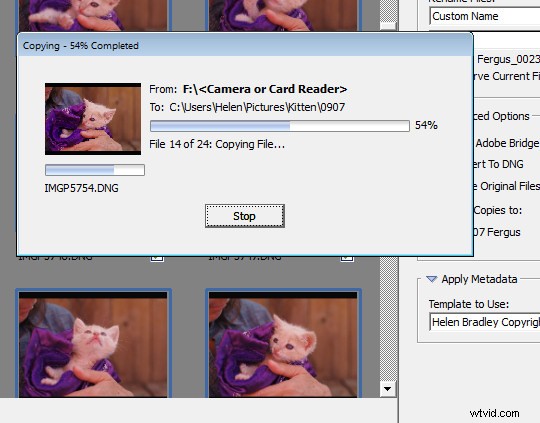 How to Safely Transfer Photos from Memory Card to Your Computer