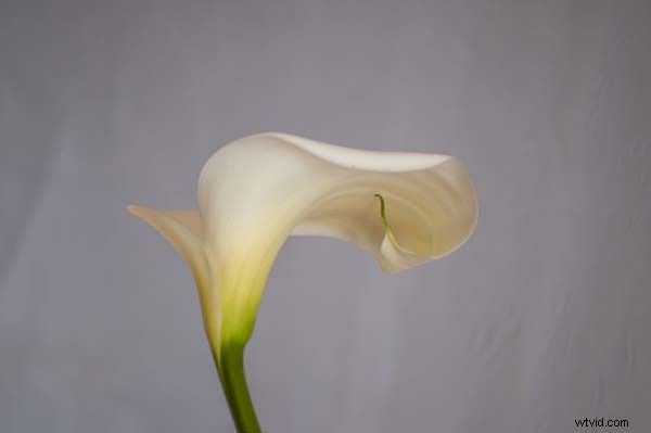 Create Authentic Antique Photos: Easy Texture Overlay Tutorial