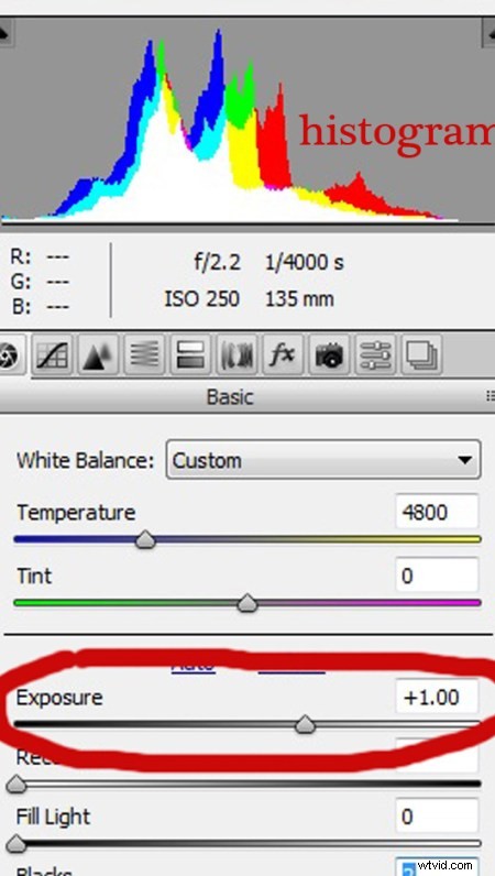 3 Expert Tips for Mastering Stunning Skin Tones in Adobe Camera Raw