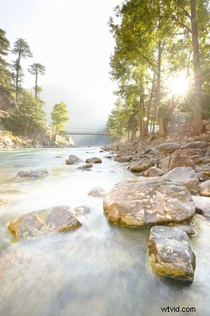 Essential Post-Processing Tips: Fixing Common Beginner Photography Oversights