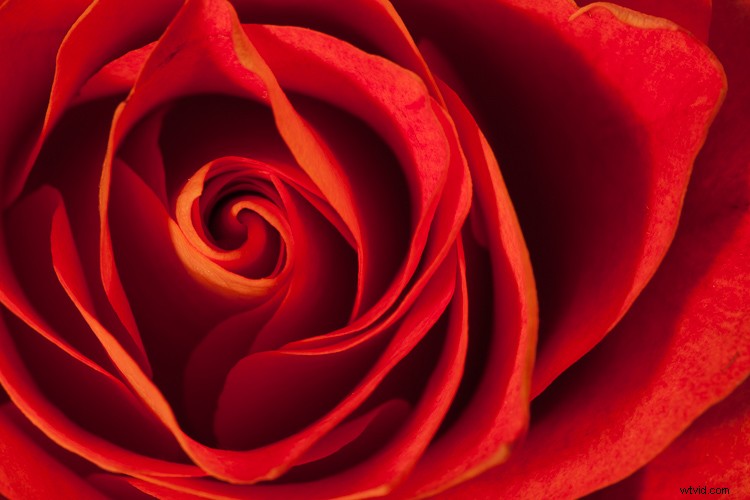 5 Proven Creative Macro Photography Ideas for Stunning Results