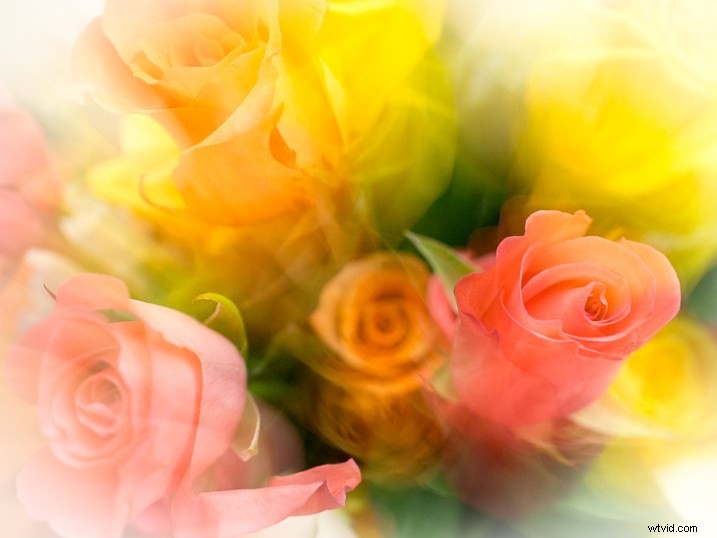 5 Proven Creative Macro Photography Ideas for Stunning Results