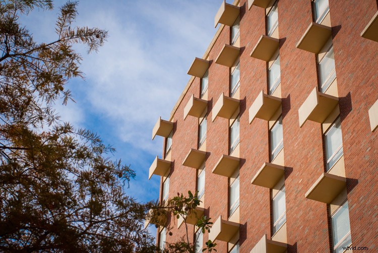 Demystifying Exposure in Photography: The Essential Beginner s Guide