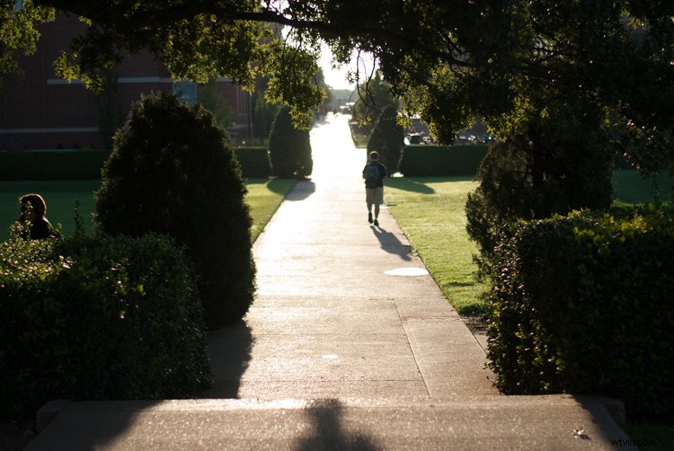 Demystifying Exposure in Photography: The Essential Beginner s Guide