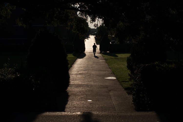 Demystifying Exposure in Photography: The Essential Beginner s Guide