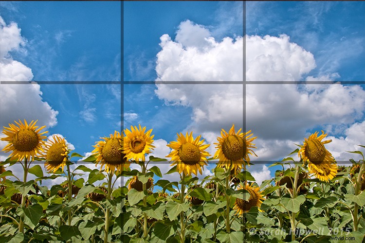 Master Photo Composition: Essential Tips for Beginners