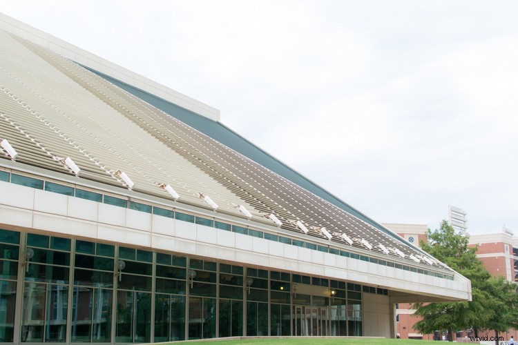 Master the Histogram: Capture Perfectly Exposed Photos Every Time