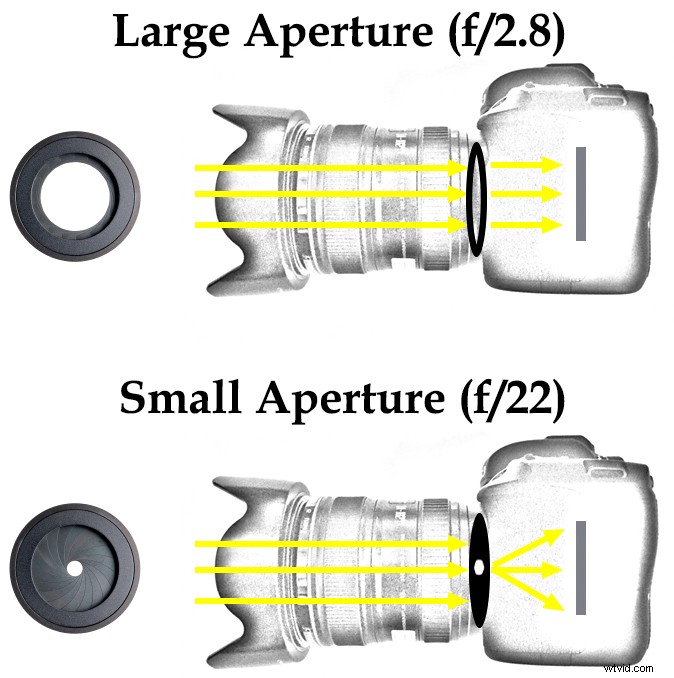 Achieve Maximum Depth of Field Without Diffraction: Pro Photography Guide