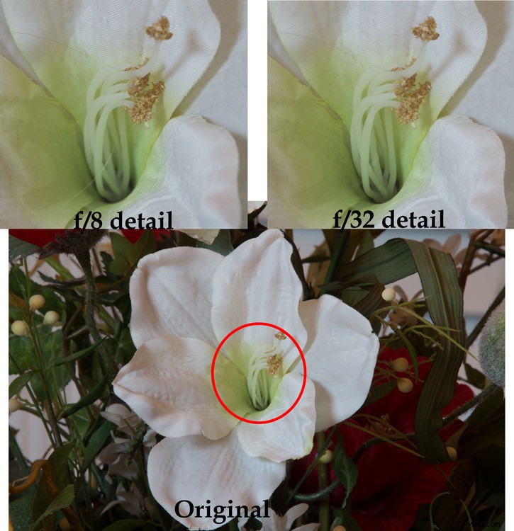Achieve Maximum Depth of Field Without Diffraction: Pro Photography Guide