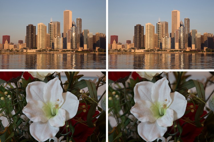 Achieve Maximum Depth of Field Without Diffraction: Pro Photography Guide