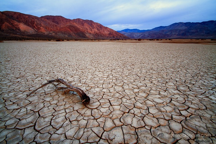 6 Expert Tips for Captivating Landscape Photographs That Stand Out