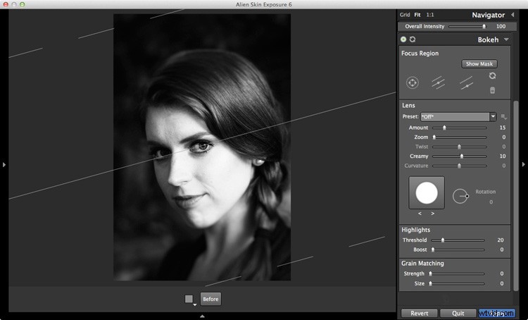 Expert Guide: How to Choose the Best Black & White Photo Plug-In