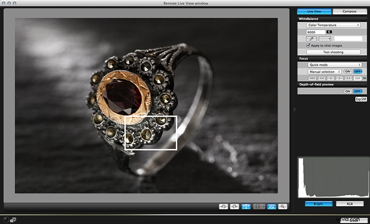 Master Depth of Field Control: Expert Tips for Stunning Macro Photography