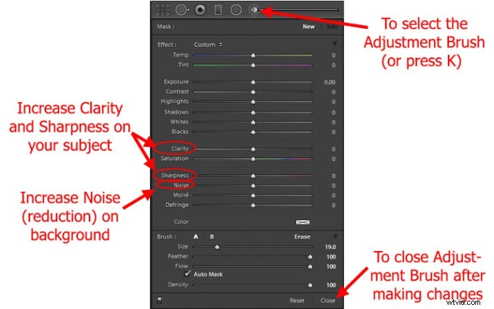 13 Expert Tips for Capturing Stunning Action Shots in Low Light