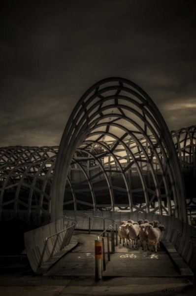 Master Conceptual Photography: Ultimate Guide to Creating Unique Fine Art Images