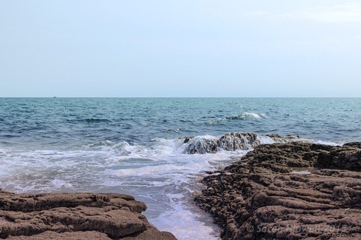 Elevate Photo Composition: Mastering Cropping Techniques in Post-Production