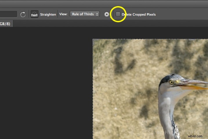 Elevate Photo Composition: Mastering Cropping Techniques in Post-Production