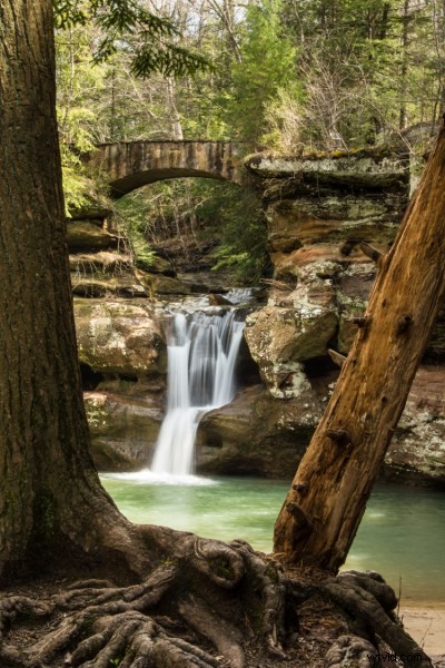 6 Expert Techniques: Use Live View for Razor-Sharp Images