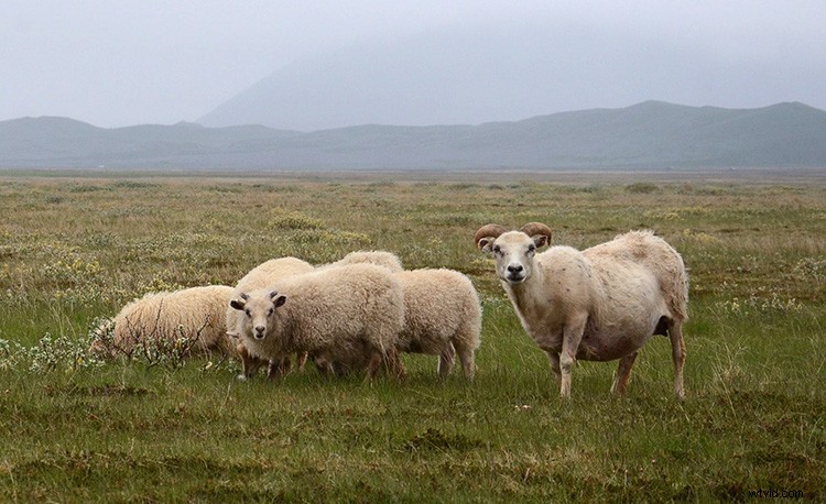 20 Expert Tips to Elevate Your Travel Stock Photography