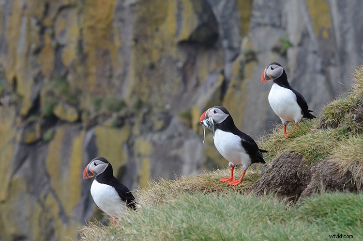 20 Expert Tips to Elevate Your Travel Stock Photography