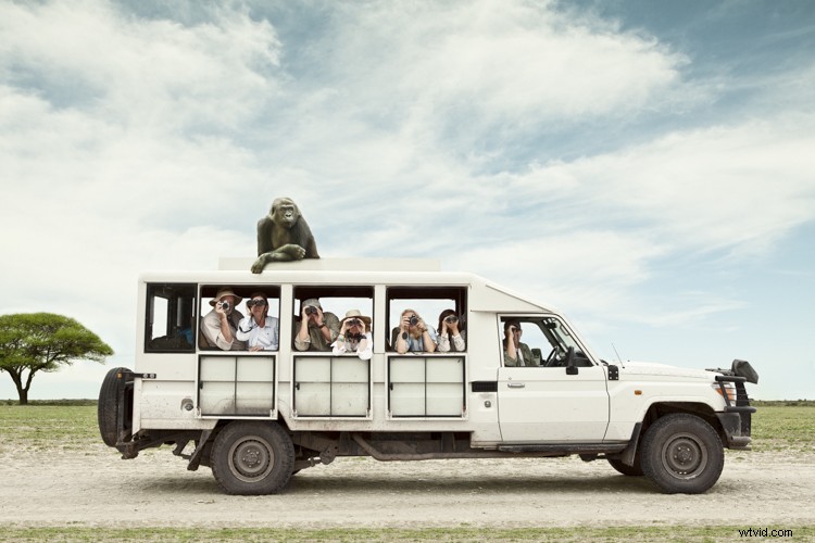 Discover Zack Seckler s Photography: Blending Humor and Unique Style