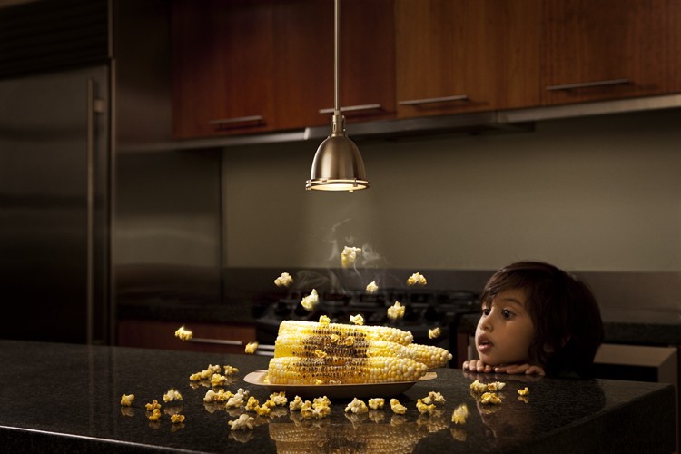 Discover Zack Seckler s Photography: Blending Humor and Unique Style