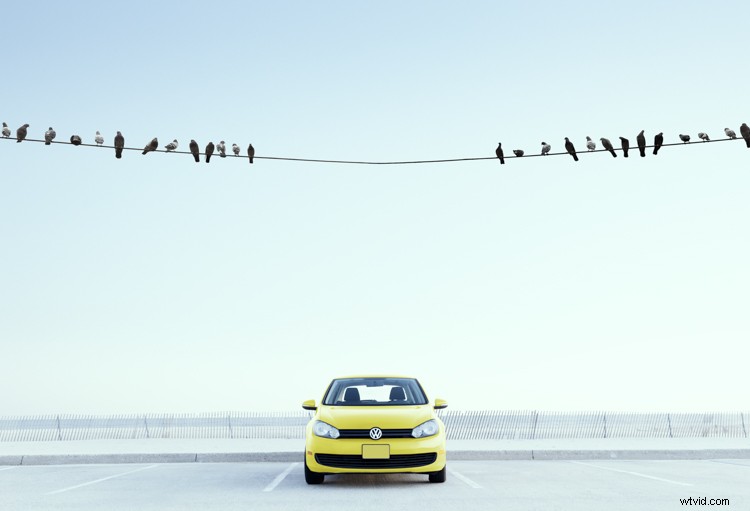 Discover Zack Seckler s Photography: Blending Humor and Unique Style