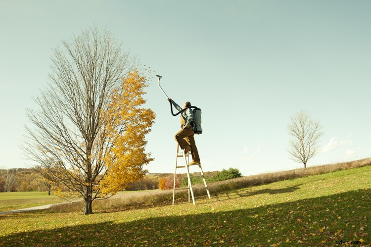 Discover Zack Seckler s Photography: Blending Humor and Unique Style