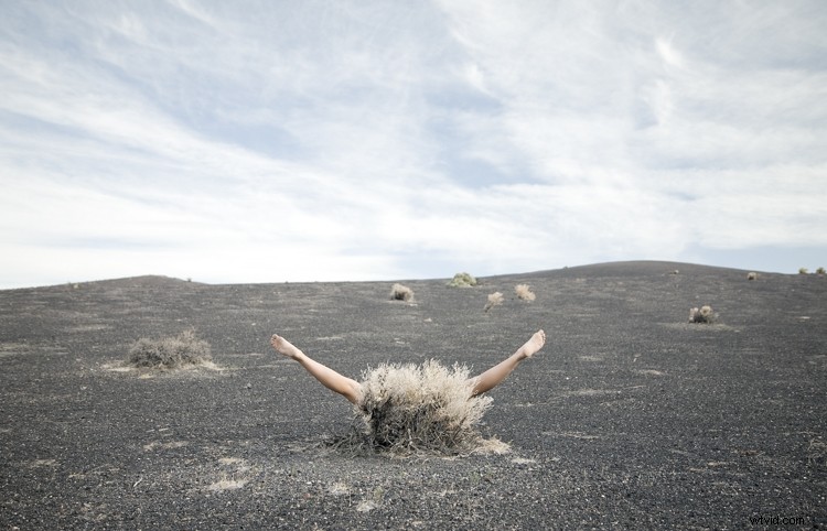 Discover Zack Seckler s Photography: Blending Humor and Unique Style