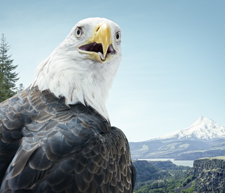 Discover Zack Seckler s Photography: Blending Humor and Unique Style