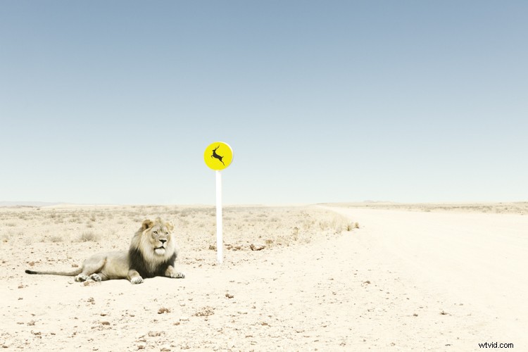 Discover Zack Seckler s Photography: Blending Humor and Unique Style